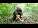 L'expert en survie C&eacute;dric Crippa nous apprend &agrave; faire un pi&egrave;ge - Label : Le Républicain Lorrain - Category : News