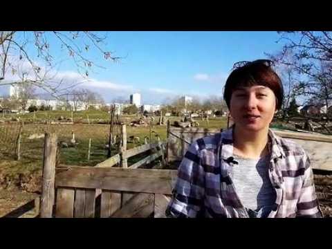 Metz : Une ferme coopérative au cœur de la cité