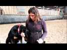 Marie Teutsch, spécialiste en animations et médiation animale à Niderviller