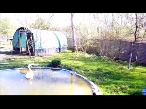 En visite au Centre de soins de la faune sauvage de Dudelange