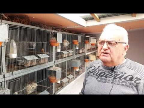 Claude Stordeur, président de la Société ornithologique de Sarrebourg et environs : ses conseils pour être un bon ornithologue