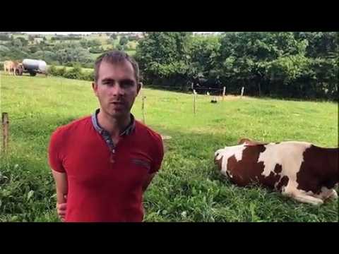 Wiesviller : Ferme de la sarre, de l’élevage à la vente directe