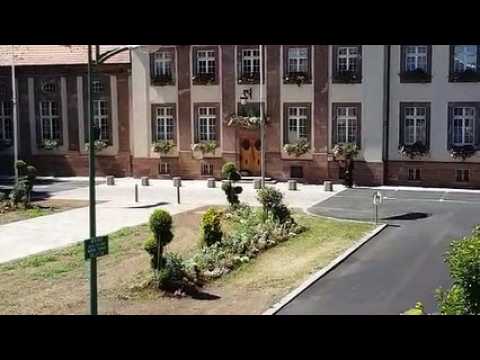 Dieuze : les images des démineurs face au sac suspect laissé devant la mairie