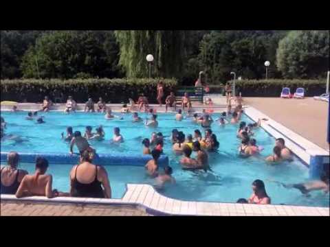 Les bassins du Centre nautique de Sarreguemines pris d’assaut