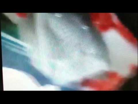 Sangliers courant dans la cité de Behren samedi soir