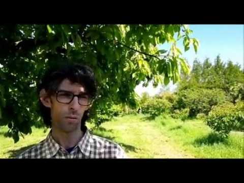 Laurent Tona, arboriculteur : « Le gel a fait du mal »