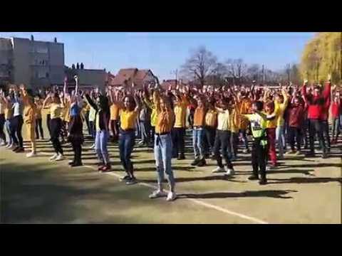 Sarrebourg : une flashmob aux couleurs de l’Allemagne au collège Mangin