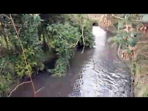 Nouvel épisode de pollution aux hydrocarbures dans la fensch à Florange