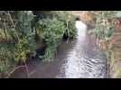 Nouvel épisode de pollution aux hydrocarbures dans la fensch à Florange