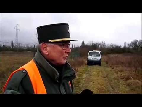 Bilan du lieutenant de louveterie à la fin de la battue