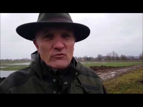 Gérald Decker, garde chasse assermenté des réserves de chasse de la centrale de La Maxe explique la blessure des trois chiens