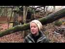 Dans les coulisses du parc animalier de Sainte-Croix l’hiver