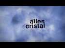 Les ailes de cristal 2018
