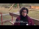 Au parc de Sainte-Croix &agrave; Rhodes : le territoire des coyotes - Label : Le Républicain Lorrain - Category : News