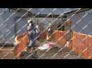 M&eacute;decins Sans Fronti&egrave;res carry out Ebola tests in DRC - Label : AFPTV - First images - Category : News