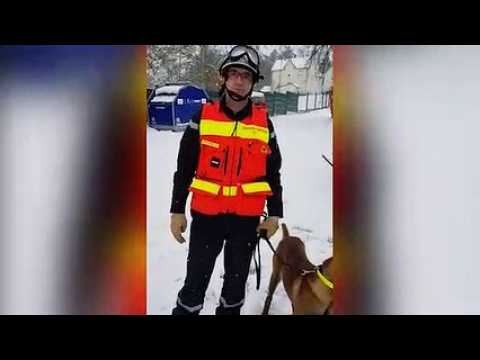 Robert Cassar et son chien Loup en plein exercice