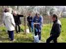 Les secrets pour bien tailler son arbre fruitier - Label : Le Républicain Lorrain - Category : News