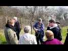 Initiation &agrave; la taille arbres fruitiers &agrave; Metz - Label : Le Républicain Lorrain - Category : News