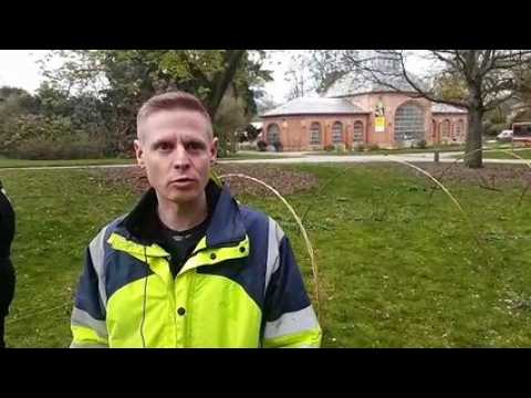 Des libellules en osier au jardin botanique de Metz