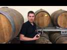 La distillerie de La Quintessence à Harreberg lance son rhum 15 ans d’âge