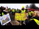 Aumetz : les Amajaunes en marche - Label : Le Républicain Lorrain - Category : News