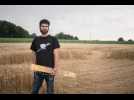 Crop-circle  de Sarraltroff : les dessous du « mystère »