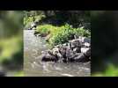 Grosbliederstroff : on a test&eacute; pour vous le cano&euml; sur la Sarre &agrave; - Label : Le Républicain Lorrain - Category : News