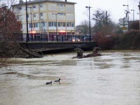 L'eau monte dans le Pays Messin