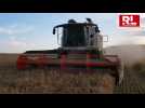 D&eacute;marrage pr&eacute;matur&eacute; des moissons &agrave; Doncourt - Label : Le Républicain Lorrain - Category : News