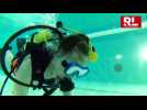 Les enfants découvrent la plongée à la piscine de Briey