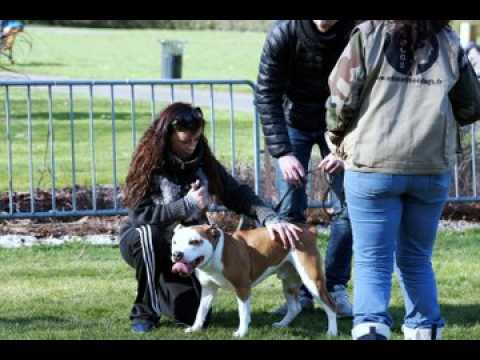 Alma à Nilvange contre la maltraitance animale