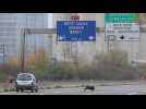 Cinq sangliers &agrave; Metz dispositif exceptionnel sur l&rsquo;A31 - Label : Le Républicain Lorrain - Category : News