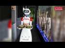 Le premier robot serveur est arrivé à Marly près de Metz
