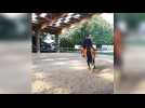 Reviviez le carrousel des Miss Potter du Sarreguemines Jump - Label : Le Républicain Lorrain - Category : News