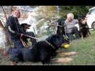 Coupe du monde de chiens de bergers &agrave; Falck : la voix de leurs ma&icirc;tres - Label : Le Républicain Lorrain - Category : Animaux