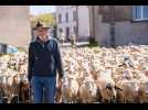 Un chemin de transhumance &agrave; travers le pays du Saulnois... - Label : Le Républicain Lorrain - Category : News