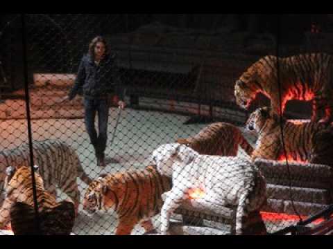 Rémy Flachaire, l'oeil du tigre à Amnéville