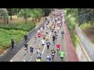 VIDEO 9. Le peloton du Marathon Metz Mirabelle en intégralité : vous reconnaîtrez-vous ...