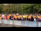 VIDEO 6...