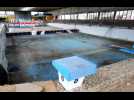 Metz : la piscine Lothaire plonge pour l'&eacute;cologie - Label : Le Républicain Lorrain - Category : News