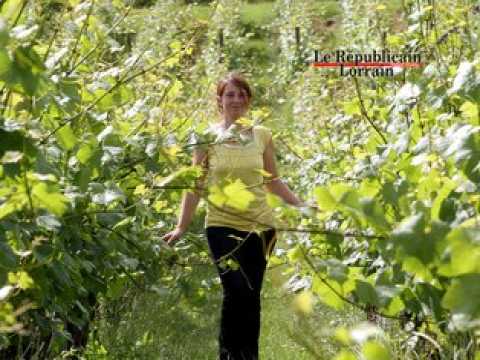 Eve Maurice veut recueillir le fruit de sa vigne mosellane au salon de l'agriculture