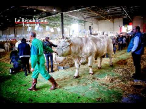 Agrimax à Metz : le bonheur est-il toujours dans le pré ?