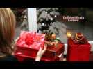 Quel sera votre budget pour les cadeaux de No&euml;l ? - Label : Le Républicain Lorrain - Category : News