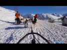 Balade en chien de traîneau à l'Alpe d'Huez