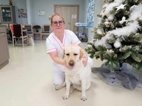 La jeune chienne Nickie accompagne au quotidien les résidents de la maison de retraite de Hochfelden