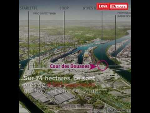 La Cour des Douanes se dévoile au Port du Rhin