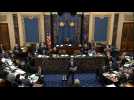 Trump impeachment trial: Debate on whether to call witnesses begins
