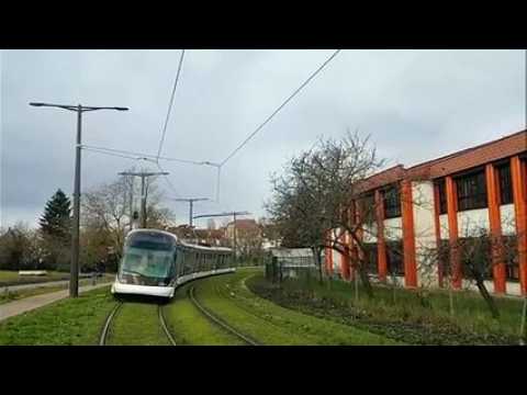 Ciara à Strasbourg : arbre renrsé sur la voie du tram à la Robertsau