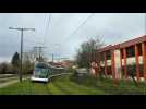 Ciara à Strasbourg : arbre renrsé sur la voie du tram à la Robertsau