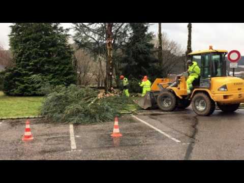 Vidéo. Un arbre victime de la tempête Ciara derrière la mairie de Saint-Etienne-lès-Remiremont
